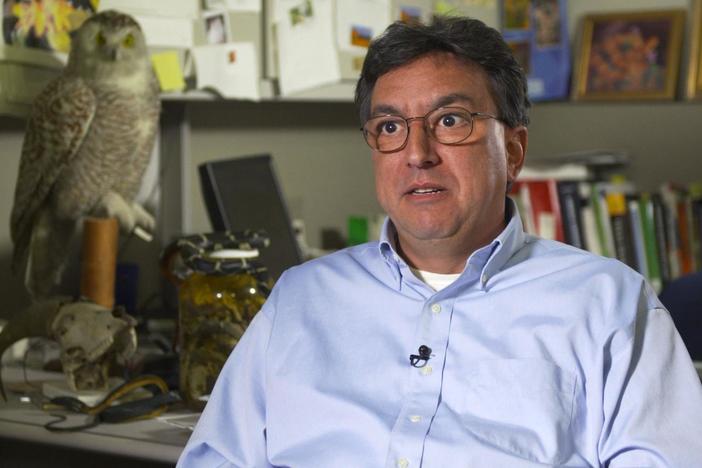 Walter Meshaka describes his encounter with an 11-foot snake.