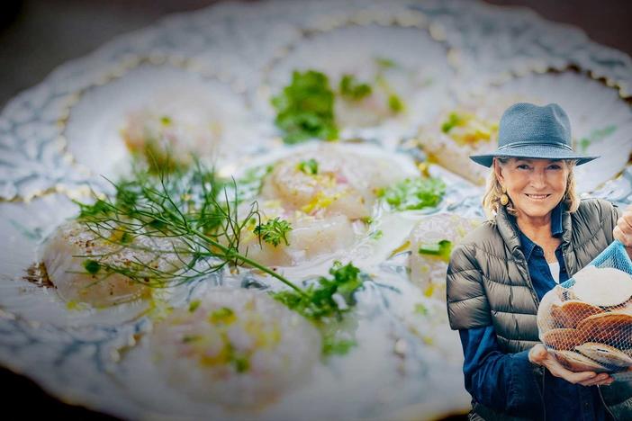 Martha Stewart harvests Maine scallops and turns them into delicious delicacies.