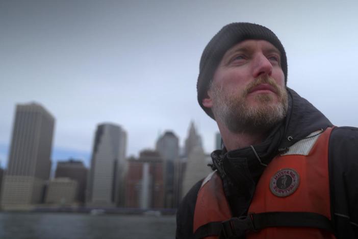 An alliance is deploying one billion oysters to restore New York Harbor.