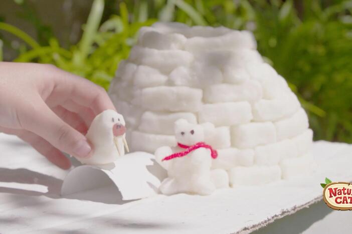 Make your own igloo along with your pal Nature Cat!