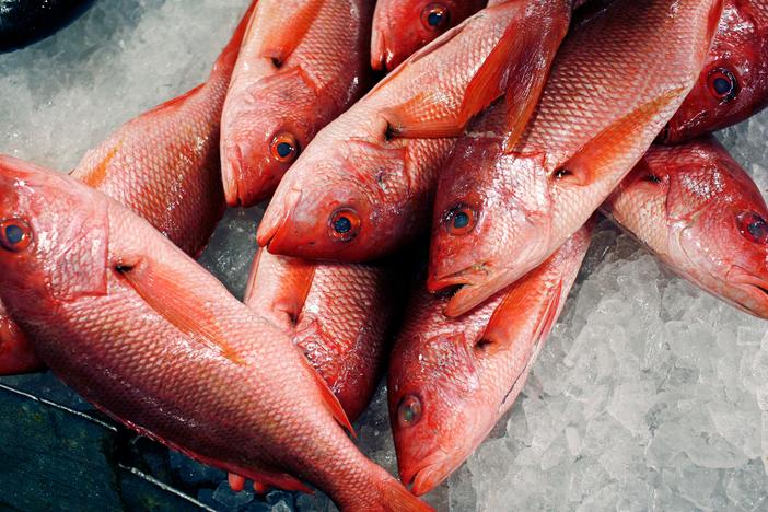 Is the government shutdown making American food unsafe?