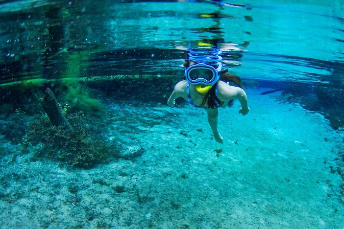 Mary Power's love for aquatic life began when she realized she could see better underwater