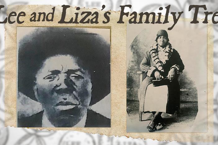 A family turns to science in their struggle to rediscover a history obscured by slavery.