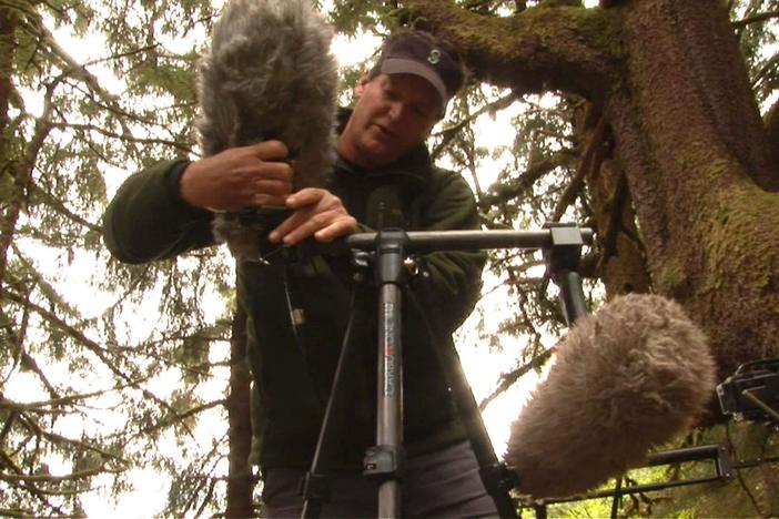 Sound Recordist Dave Ruddick explains how he records surround sound in the field.