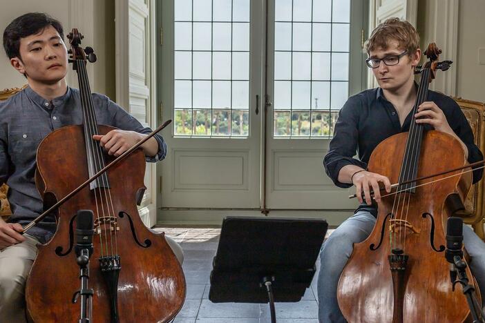 Boccherini played around with the cello's range with these experimental compositions.