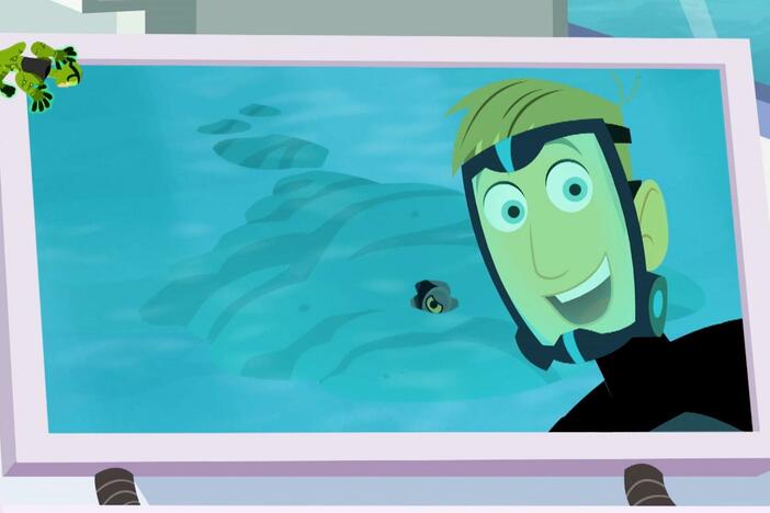 Martin searches in the ocean for a creature that hides very well.