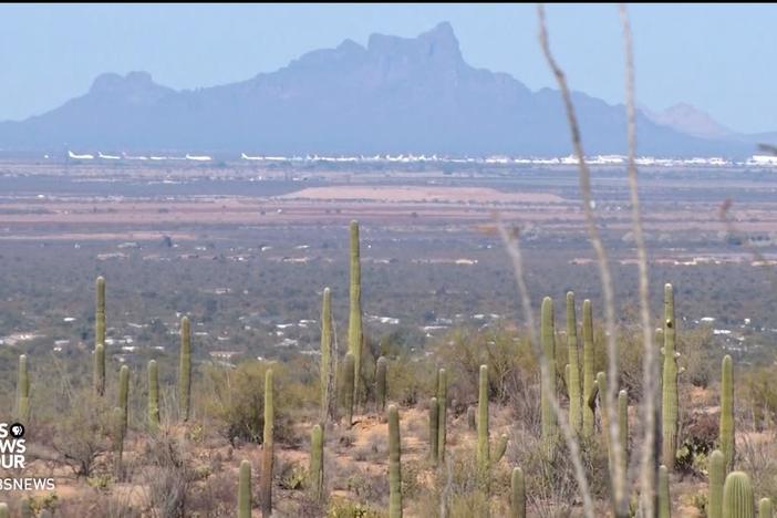 Cactus thieves and fossil robbers are taking treasures from the national parks
