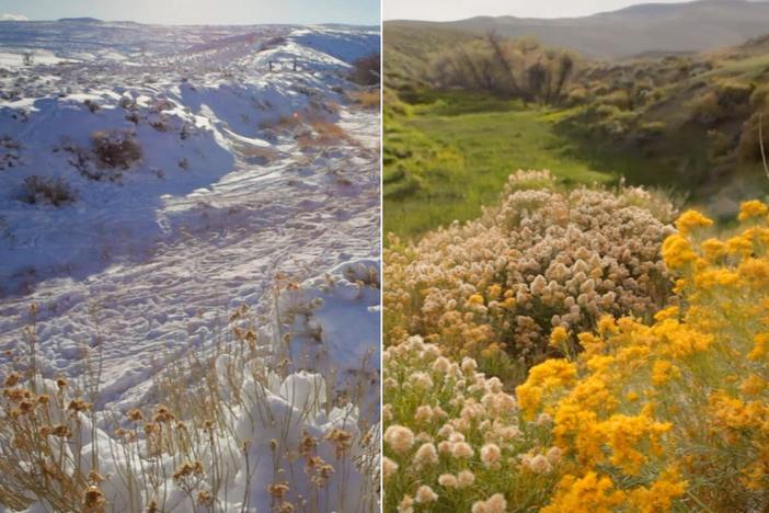 Witness the change from winter to spring in 60 seconds.
