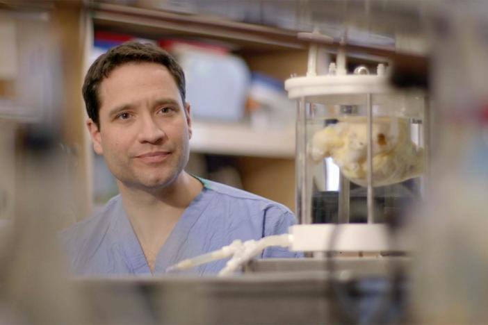 Dr. Ott takes skin cells and reprograms them into stem cells.