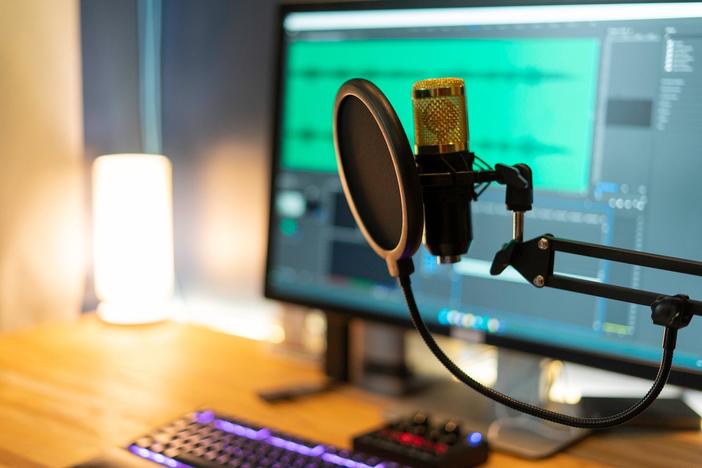 Critics weigh in on the best and most surprising podcasts of 2023