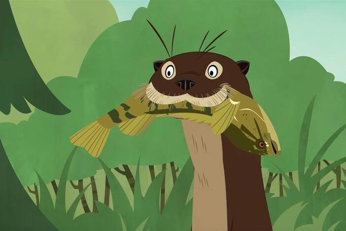 Martin explores a beaver pond.