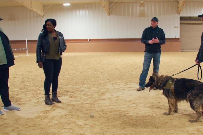 The War and Treaty find similarities between human veterans and K9 veterans who served.