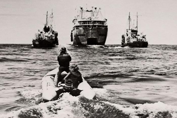 See archival footage as Greenpeace co-founders remember the first whale rescue mission.