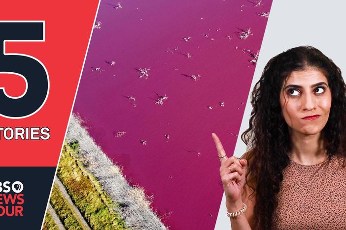 Pink lakes, a vaccine-developer Barbie and other stories you missed | 5 STORIES | Aug. 13