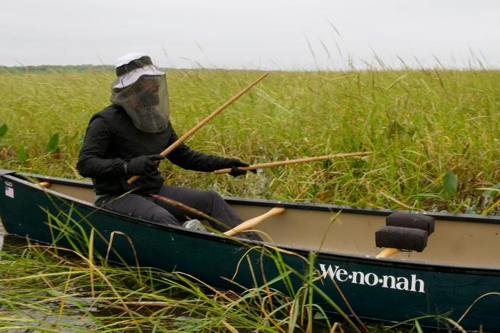 Baratunde travels to northern Minnesota to find out what the wild means to Americans today