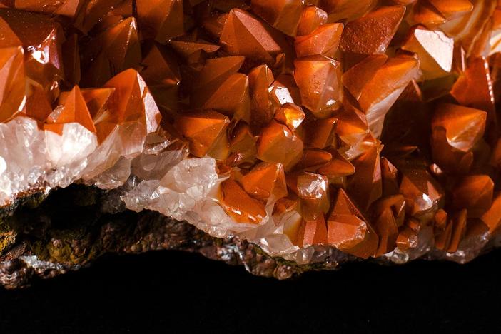 What is the secret link between rocks and minerals, and every living thing on Earth?
