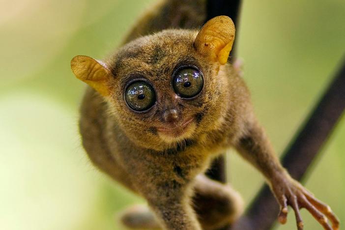 Uncover Nature’s biggest little secrets.