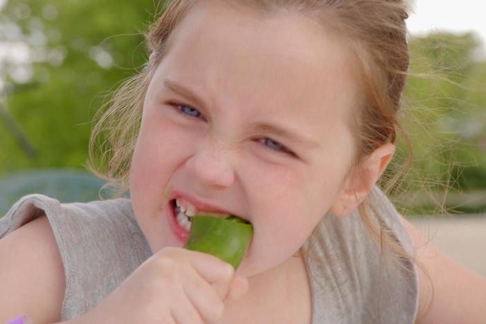 "Beyond the Elements" host David Pogue explores the science of hot peppers—viscerally.