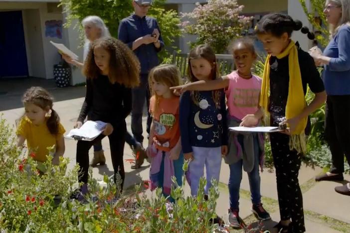 See how this group of 4th graders became citizen scientists.