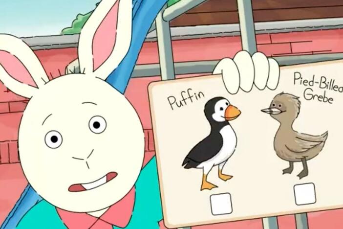 Arthur’s classmates need help deciding on the new mascot for their elementary school!