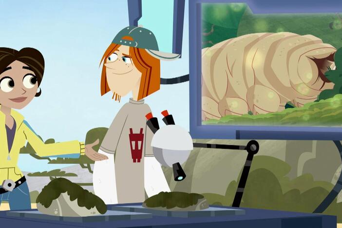 Aviva & Jimmy check out the micoscopic creatures that live in Jimmys mossy pillow
