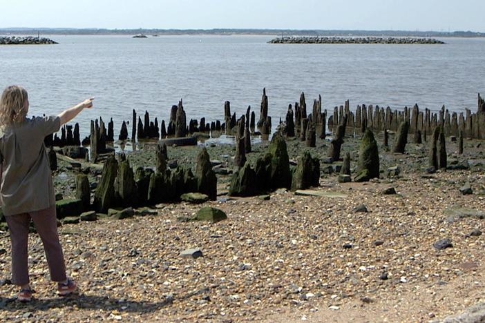 Landscape architect Kate Orff shares visionary goal of nature-based infrastructure