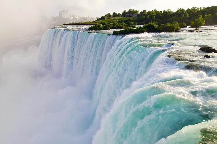 Embark to Niagara Falls and witness its amazing beauty and the wildlife that call it home.