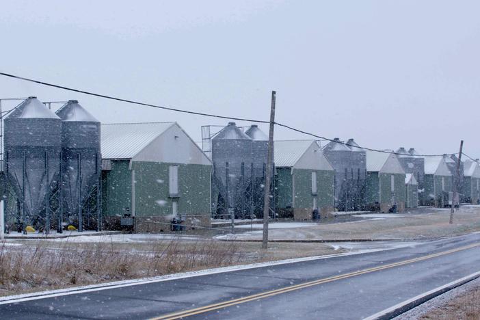 The inside story of Guatemalan teens forced to work against their will in Ohio.