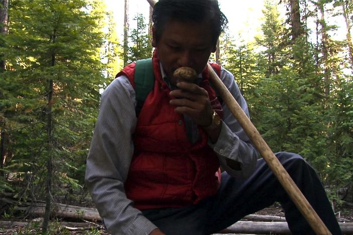 Two veterans, and now mushroom hunters, heal the wounds of war in an unlikely friendship.