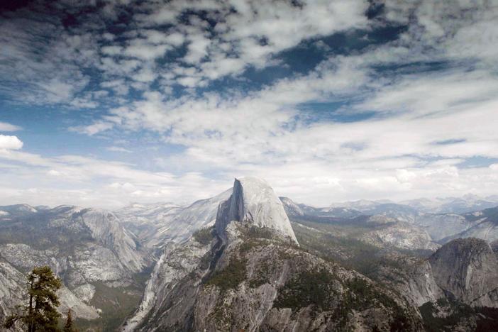 Explore one of humanity’s deepest artistic urges: the depiction of nature.