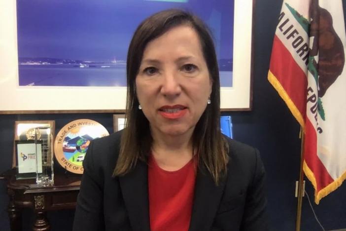 Eleni Kounalakis discusses the COVID-19 surge in her state.