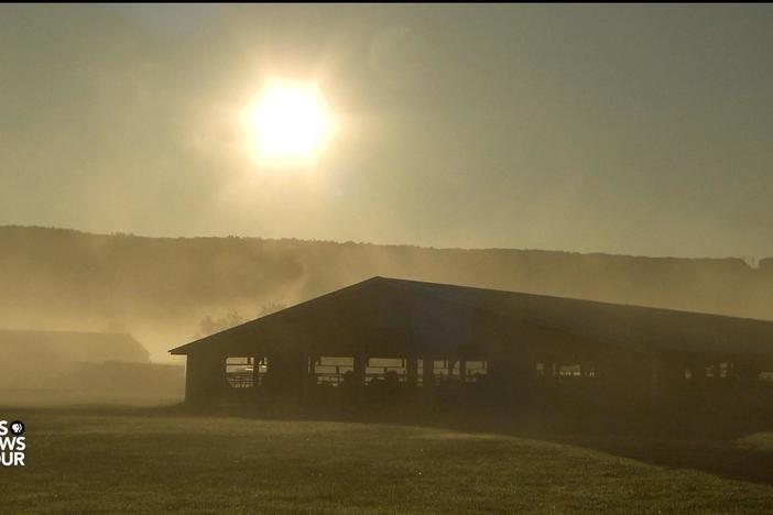 How these Massachusetts farmers are turning manure and food waste into power