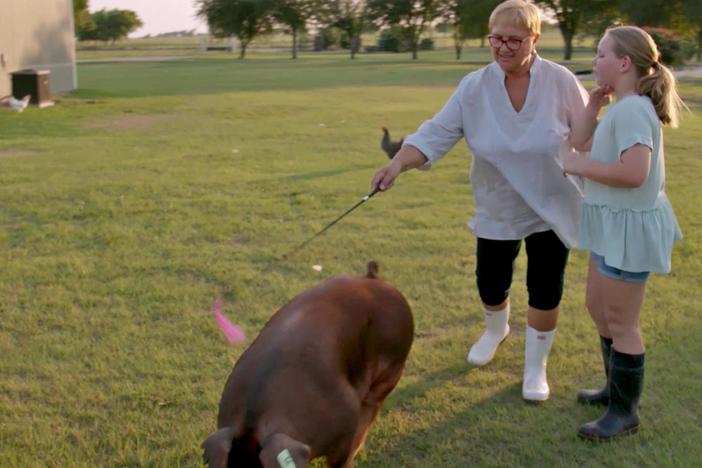 In Denton, TX, Lidia meets Kate Swan, age 12, who raises pigs to show at the State Fair.
