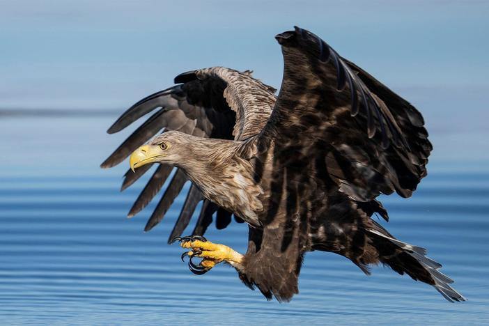 The Scandinavian coast is a place of haunting beauty and dangerous extremes.