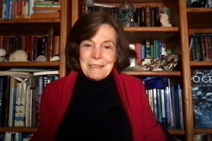 Oceanographer Sylvia Earle explains why clean oceans are vital to humanity.