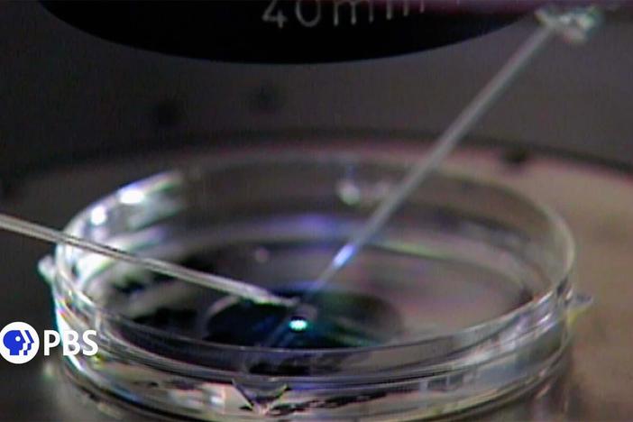 When the first human egg was fertilized in a lab in 1944, the news spread like wildfire.