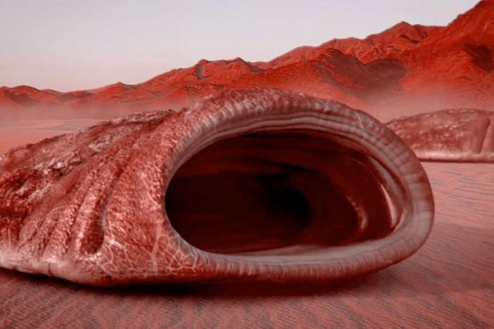 What would life on a red dwarf planet look like?