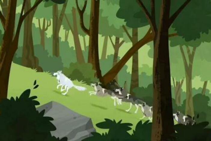 Chris and Martin try to keep up with a wolf pack, but it's harder than they thought!