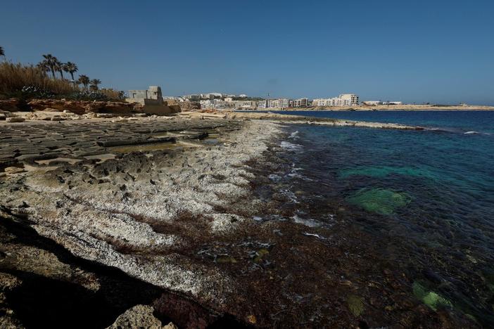 Scientists issue increasingly dire warnings as ocean surface temperatures spike