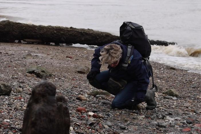 Mudlarkers uncover archaeological treasures along London's river banks