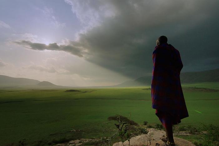 After a dry summer the parched plains of the Serengeti transform into a green blanket.