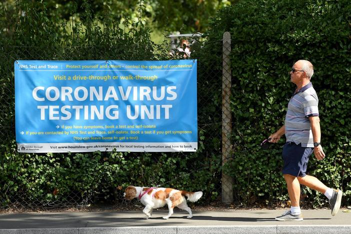 Pandemic brings unexpected perils for British dog owners