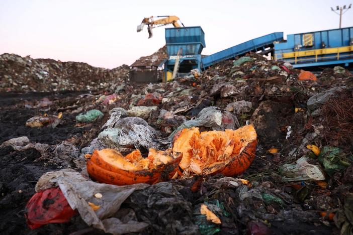 Food waste is a global problem. Here are major drivers and what can be done about it