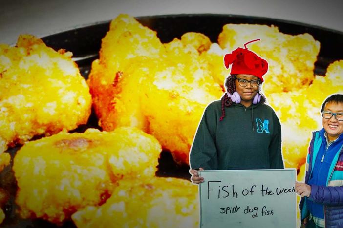 A sustainable subscription fish program employs students to market less popular fish.