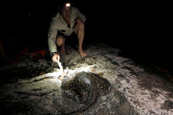 Jungle survival experts Jan Willem and Diego Graanoogst join Steve on his expedition.