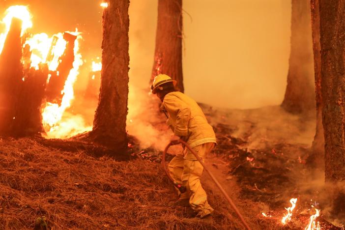 'Nearly every acre' in California has potential to burn, state fire official warns