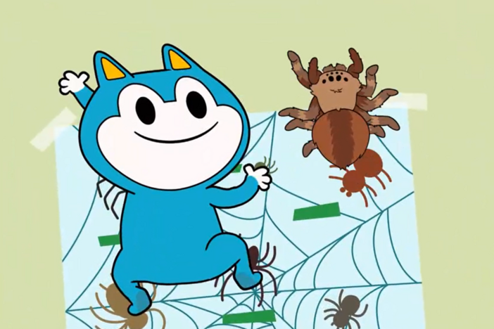 Lyla meets Ale's pet tarantula Hairy for the first time.