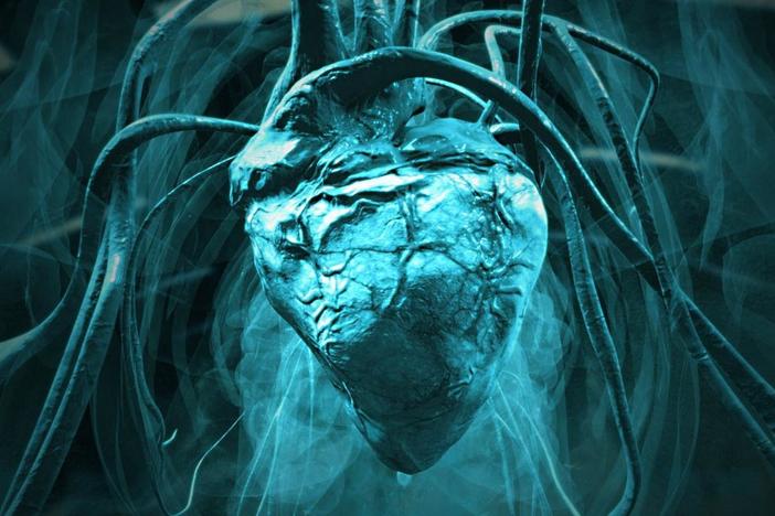 The heart of a newly-discovered dinosaur may have weighed as much as a grizzly bear. 