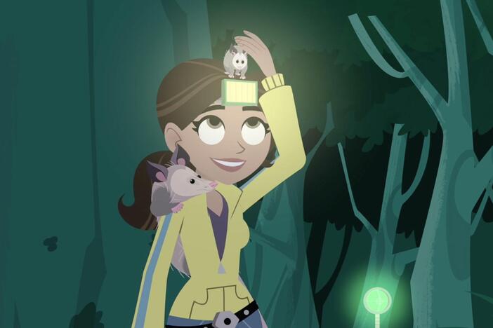 Aviva creates some opossum creature power discs to help the Kratts find Jillybean.
