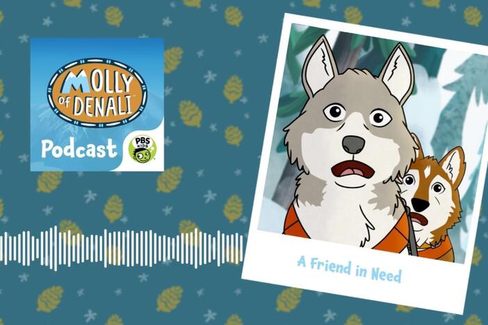 The race is back on and Molly is eager to get her team on the trail!